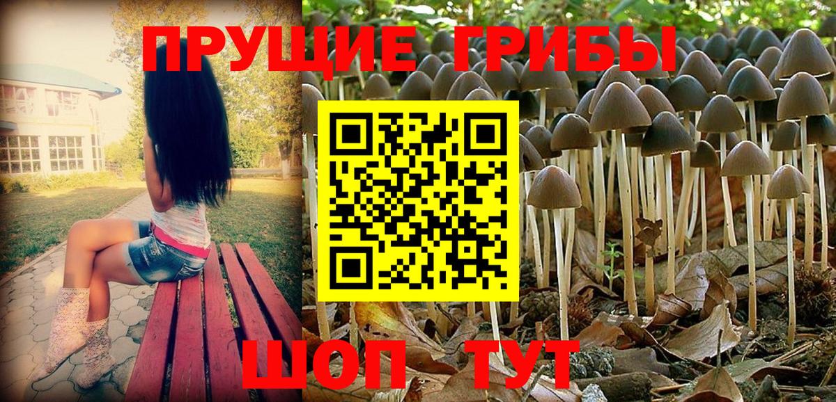 Галлюциногенные грибы мухоморы Ессентуки
